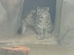 -青藏高原野生动物园