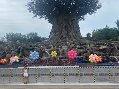 -郑州银基国际旅游度假区