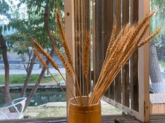 -春风习习