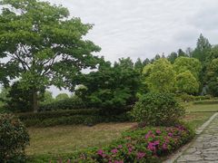-苏州太湖国家湿地公园