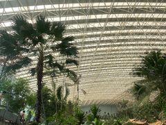 -龙脉温泉室内游泳馆