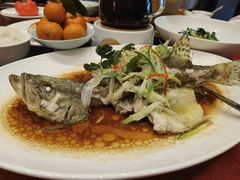 -蛇口希尔顿南海酒店·随轩中餐厅·粤菜