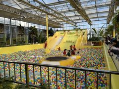 -南宫五洲植物乐园