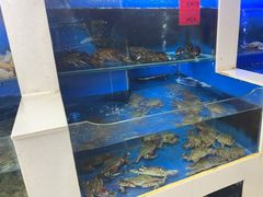 -小铜锣湾海鲜家常菜馆(河西店)