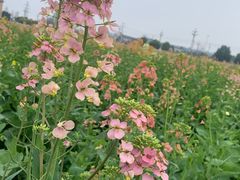 -中国天府农业博览园