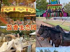 -盈香心动乐园