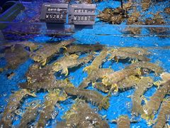 -徐记海鲜(大雁塔|金都店)