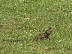 -可伦宾野生动物保护区