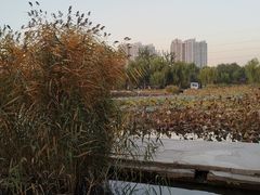 -太阳宫公园