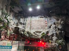 -苏州海洋馆