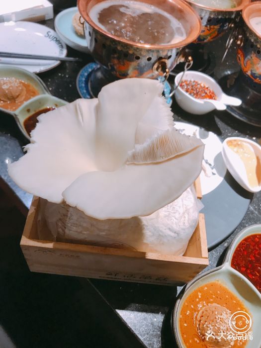 奇门涮肉(南京西路店)-鲜活鲍鱼菇图片-上海美食-大众点评网