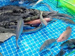 -都斛海鲜街
