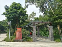 景点-王借岗森林公园