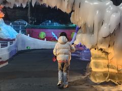 -石家庄市植物园