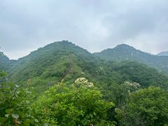 -大岭沟猕猴桃谷风景区