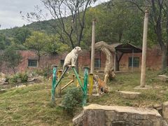 -无锡动物园·太湖欢乐园