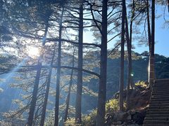 -黄山风景区