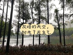 -荔湾湖公园