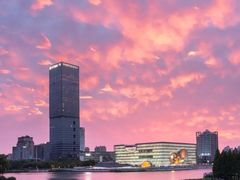 -马陆小张葡萄园农家乐