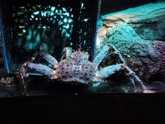 -沈阳海洋探索中心