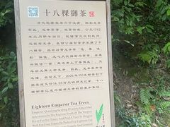 -十八棵（老龙井）御茶园(老龙井店)
