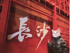 -火宫殿·湘菜小吃·商务宴请·生日聚会(东塘店)