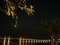 -金悦轩海鲜城(渔人码头店)