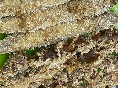 -熊仔屋(吉祥苑小区店)