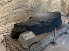 -白鹤梁水下博物馆