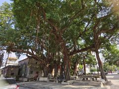 -烟桥私房菜馆(奋哥)