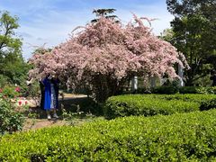 -国家植物园南园