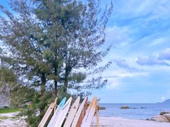 -花海间·即刻露营