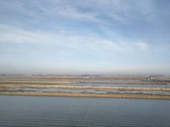 -柳京酒店(滨江中路店)