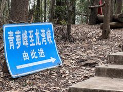 -滴水岩森林公园