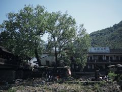 -鹿亭中村