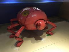 -上海昆虫博物馆