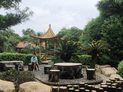-大屏嶂森林公园