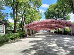 -南汇桃花村