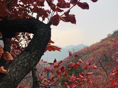 -石门坊