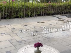 -日落吧·海景咖啡厅·餐酒吧·鸡尾酒·下午茶·乐队表演·浪漫夕阳·三亚文华东方酒店