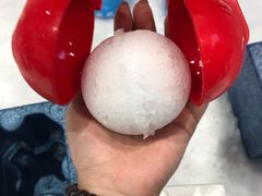 -Mr·Kuma酷么先生雪之乐园