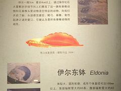 -辽宁古生物博物馆