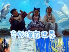 -郑州银基国际旅游度假区