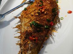 -大锅强·蒸海鲜青岛菜(吾悦广场店)