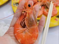 -同心源啤酒屋·青岛菜·海鲜加工