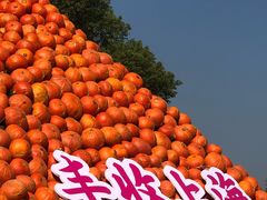 -上海月湖雕塑公园