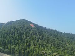 -龙口南山旅游景区