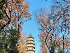 -灵谷景区