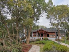 -上海市保健医疗中心