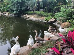 -厦门日月谷温泉渡假村